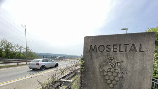 Die Moseltalbrücke der A61 bei Winningen hat sich zum Sorgenkind entwickelt.