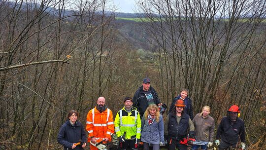 Mit Motorsäge, Astschere und Freischneider: Die fleißigen Helfer des Heimatvereins Bundenbach schneiden bei leichtem Nieselregen