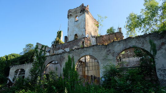 Impressionen der Waldburg-Ruine (Juni 2025)