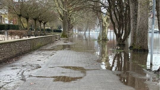 Das Rheinufer bei Koblenz am Mittwochvormittag
