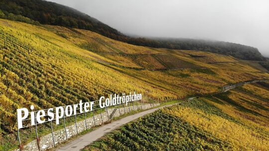 Sollte es keine Einigung zwischen den Gemeinden geben, müssten manche Winzer ihren Wein in „Dhroner Goldtröpfchen“ umbenennen.