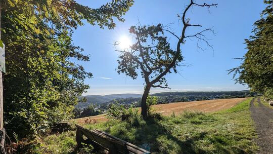 Blick auf die Parzelle "Angewann", die nach dem Willen des Ortsgemeinderats zum Neubaugebiet werden soll. Das will der Verein „L
