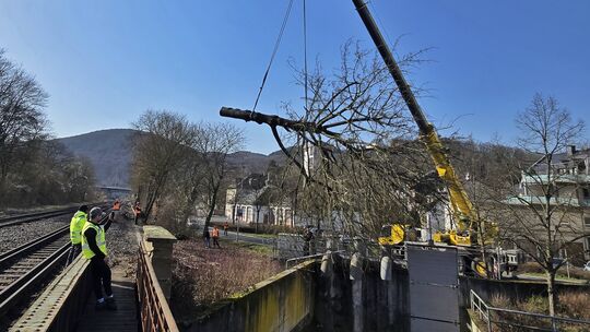 Ein Mobilkran hebt den umgestürzten Baum vom Pumpwerk am Hahnenbach.