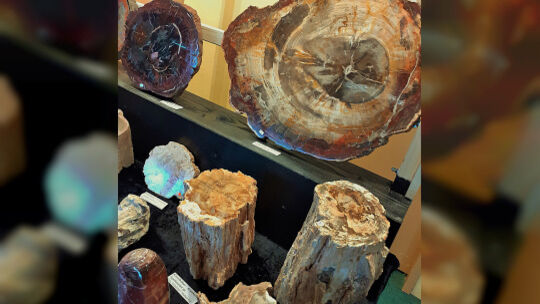 Am 14. und 15. März lockt die 25. Internationale Achatbörse Interessierte nach Niederwörresbach.