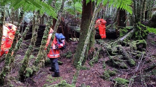 Vermisste belgische Backpackerin auf Tasmanien identifiziert