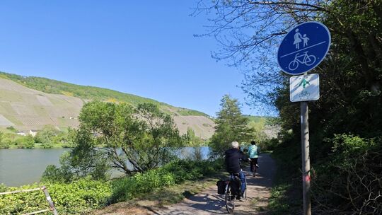 Der Radweg Richtung Wehlen ist in einem schlechten Zustand.
