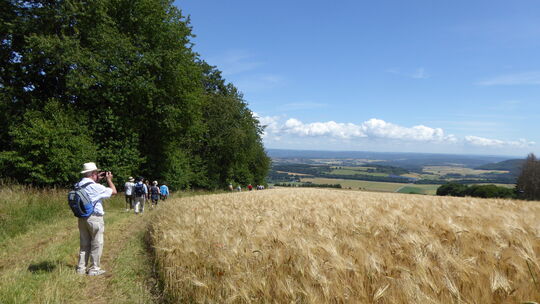 Hoch hinaus geht es auch regelmäßig, wenn Bürger mit dem Verwaltungschef des Brohltals wandern gehen.