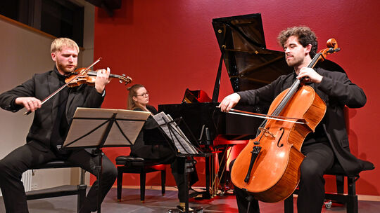 Anlässlich des Todes seiner geliebten Tochter schrieb Bedrich Smetana das ergreifende Klaviertrio, gespielt beim Konzert der Vi