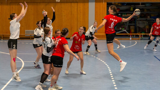 Wellings Maren Monschauer (am Ball) setzt zum Rückraumwurf an - die TVW-Spielerin traf sechs Mal beim Wellinger 42:24-Sieg gegen