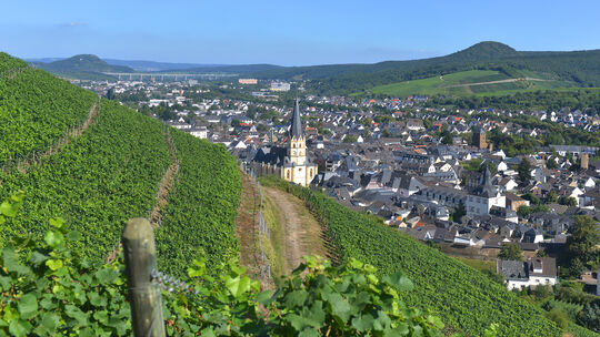 Wie können Tourismus und Wirtschaft im Kreis vorangebracht werden? Antworten darauf haben die Landtagswahlkandidaten im Wahlkrei