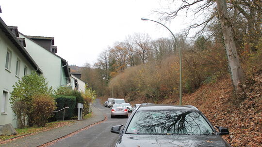 Zwischen der Straße Im Walme und der darüberleigenden Alten Kemmenauer Straße sollen in Bad Ems Wohngebäude entstehen. Die UL BE