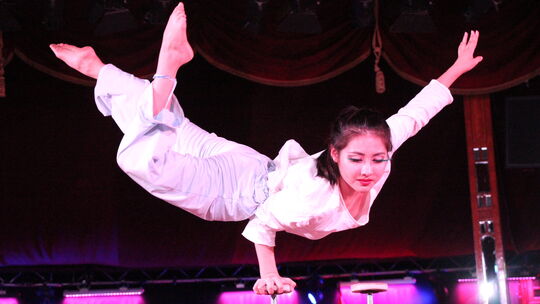 Der Chinesische Staatszirkus gastierte mit seinen Gala-Shows zweimal im Original-Spiegelzelt auf dem Schlossplatz (hier eine der