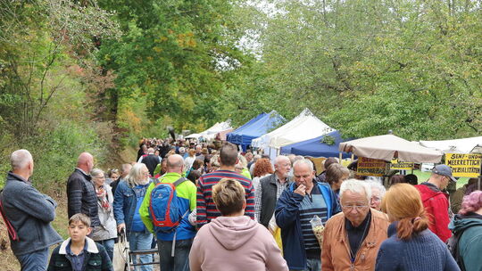 Nicht immer hatte es im vergangenen Jahr so guten Besuch gegeben wie hier am Pflanzen- und Gartentag im Freilichtmuseum. Allzu o