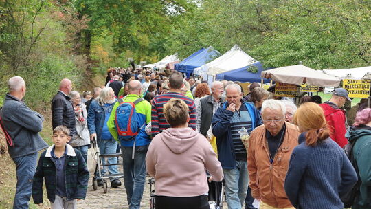 Nicht immer hatte es im vergangenen Jahr so guten Besuch gegeben wie hier am Pflanzen- und Gartentag im Freilichtmuseum. Allzu o