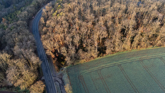 Ende November wurde die enthauptete Frauenleiche in einem Waldstück bei Monreal gefunden. Wer die Frau getötet hat, ist weiter u