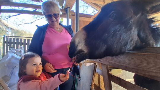Lotta und ihre Oma besuchen den Tierpark Birkenfeld schon jetzt gerne - bald soll er noch attraktiver für Kinder werden.