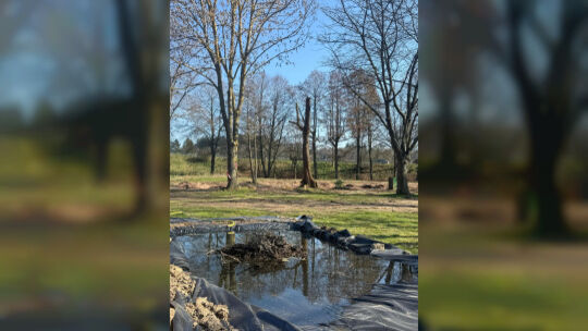 In der Nähe des Biotops auf der Tuchbleiche hat die Ortsgemeinde nun einen Übergangsteich für Amphibien angelegt.