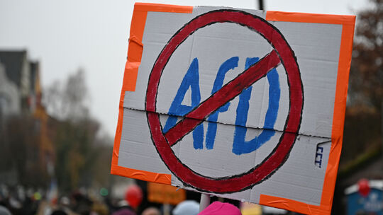 Die AfD trifft sich zu einer Wahlkampfveranstaltung in der Wiedparkhalle in Neustadt. Ein Bündnis mehrerer Parteien und Vereine