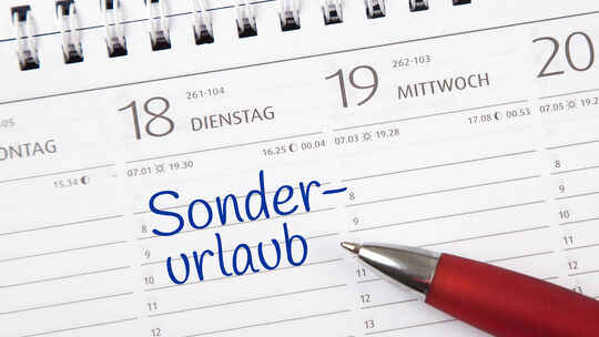 In Rheinland-Pfalz sind aktuell 167 Beamte beurlaubt, um anderen Jobs nachzugehen. Ihre Pensionsansprüche steigen in dieser Zeit