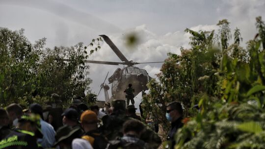 Koka-Anbau in Kolumbien