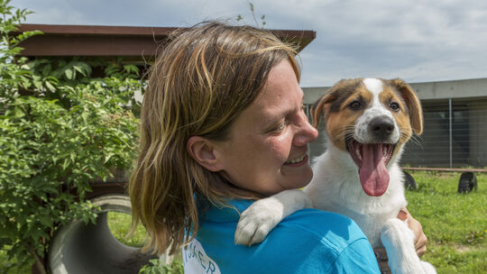 Immer mehr Tiere landen in Tierheimen, die finanzielle Druck ist hoch. Immer mehr Tiere landen in Tierheimen, die finanzielle Druck ist hoch.