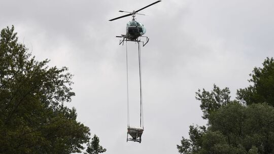 Stechmückenbekämpfung