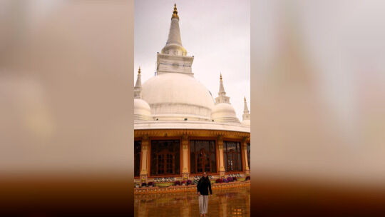 Francesca Matic aus Hackenheim reiste drei Wochen durch Sri Lanka. Der Rückflug verlief dann aber unplanmäßig: Sie strandete im