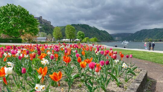 Das Rheinvorland in St. Goar soll in Zukunft attraktiver werden. Die Baumaßnahme zwischen Rheinbalkon und Panzerrampe startet ba