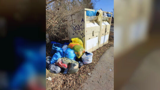 Kein schöner Anblick in der Boverather Straße in Daun. So sieht es aus, nachdem Mitarbeiter des Bauhofes am Tag zuvor die Kleide