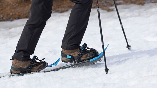 Schneeschuh-Wandern
