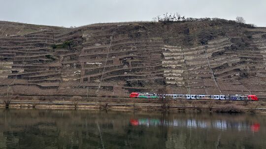 Die weltbekannte Weinlage Winninger Röttgen liegt auf zwei Gemarkungen: auf Gülser und Winninger. Das soll sich ändern.