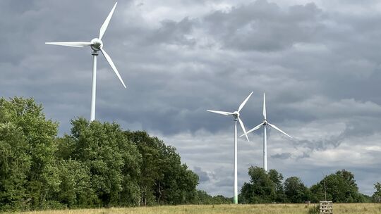So ähnlich wie hier bei Langenbach b.K. könnte in ein paar Jahren im Waldgebiet zwischen Birken-Honigsessen und Katzwinkel ein W