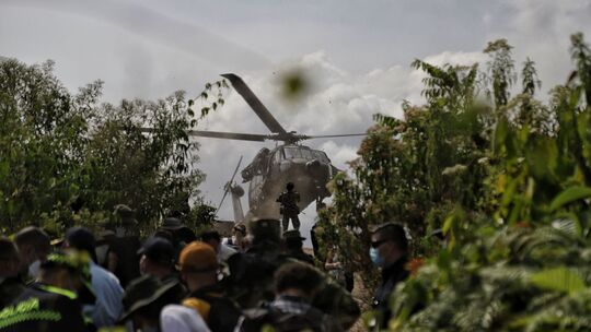 Koka-Anbau in Kolumbien