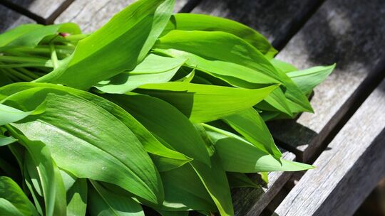 Bärlauch auf einem Holztisch Bärlauch auf einem Holztisch