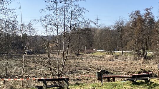 Nun gibt es Gewissheit, wie es mit dem gesperrten Mammelzer Weiher weitergehen soll.