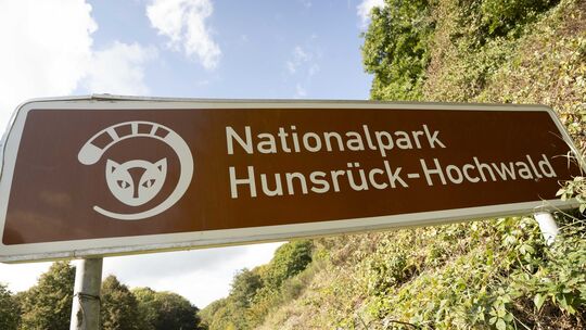 Der Nationalpark Hunsrück-Hochwald wurde im Jahr 2025 zehn Jahre alt. Das wurde groß gefeiert, die Resonanz war hervorragend. Me