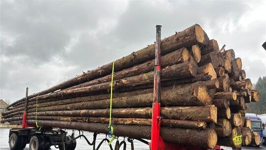 Holztransport massiv überladen - Gesamtgewicht 61.200Kg