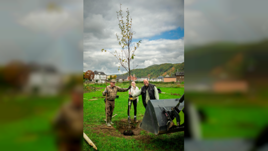 Gut kommt auch das Streuobstwiesen-Projekt in Rech an.