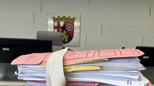 Zwei ehemalige Mitarbeiter einer rheinhessischen Weinkellerei wurden vom Landgericht Bad Kreuznach wegen Beihilfe zum Betrug zu