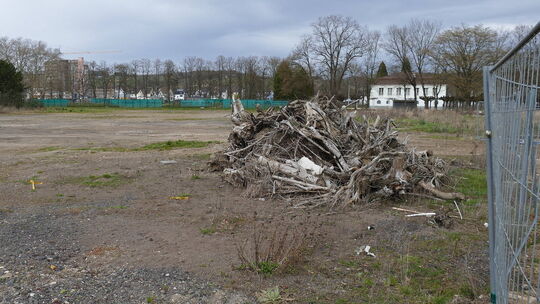 Noch steht das Lenné-Schlösschen im Hintergrund allein da, aber in absehbarer Zukunft wird hier das neue Twin-Freizeitbad entste
