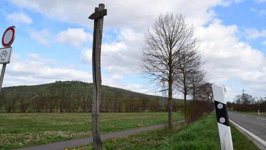 Nach Planig, Biebelsheim und Pfaffen-Schwabenheim ist nur Bosenheim der vierte Anrainer, der Teil eines künftigen Bosenbergwande