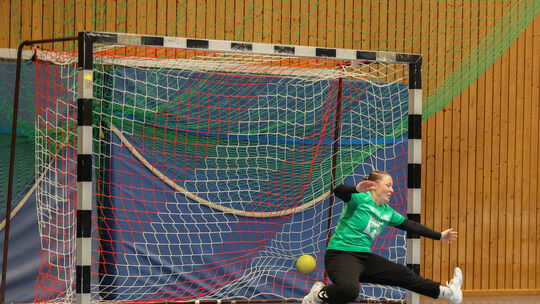 Victoria Schmidt wehrte sich im Tor der Birkenfelderinnen nach Kräften, konnte die Heimniederlage gegen das Top-Team der Liga ab