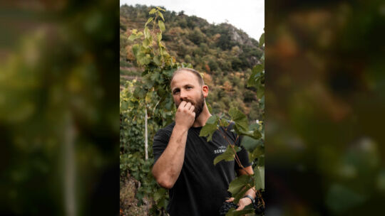 Der Winzer Lukas Sermann aus Altenahr ist auch Vorsitzender des Vereins Ahrwein.
