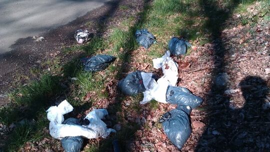 Illegal entsorgte Windeln werden im Kreis Altenkirchen immer mehr zum Problem.