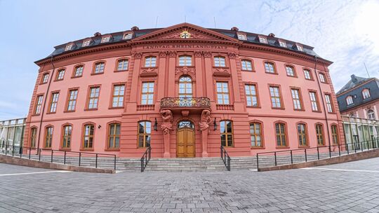 Verfassungsfeinde sollen kein Steuergeld bekommen. Deshalb werden Mitarbeiter von Abgeordneten und Fraktionen überprüft. Jetzt w