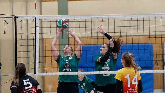 Die richtigen Bälle wollen die Guldentalerinnen (grüne Trikots) am Samstag in ihrem letzten Heimspiel stellen.
