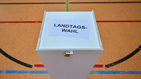 Am 22. März wird in Rheinland-Pfalz ein neuer Landtag gewählt.