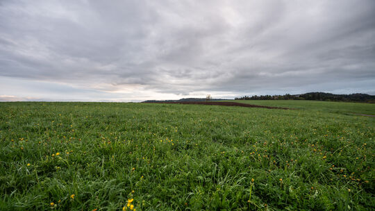 Im einen Moment herrscht Sonnenschein, im anderen ziehen dunkle Wolken auf und es regnet. Der Frühling kann teilweise auch unbes