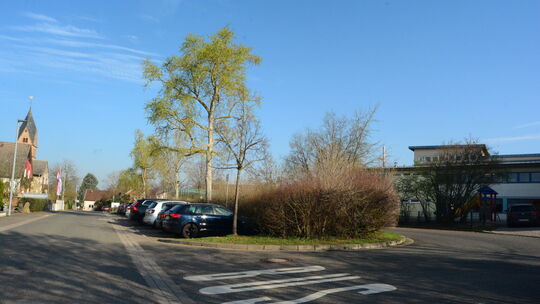 In die Straße "Am Winzerkeller" vor der Grundschule Planig sollten eigentlich keine Elterntaxis einfahren.