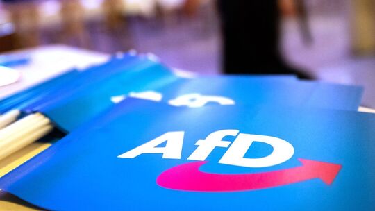 Fahne mit AfD-Logo Fahne mit AfD-Logo